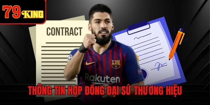 Nội dung hợp đồng đại sứ thương hiệu của nhà cái